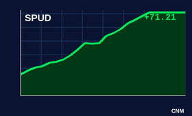 NetSpud.com shares on Monday, their first day of trading