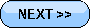 btn_next.gif