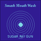 Smash Mouth Wash