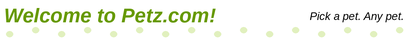 Welcome to Petz.com