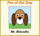 Pet of the Day