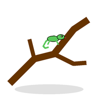 Iguana Lounge Climbing Branch