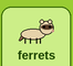 Ferrets