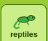 Reptiles