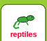 Reptiles